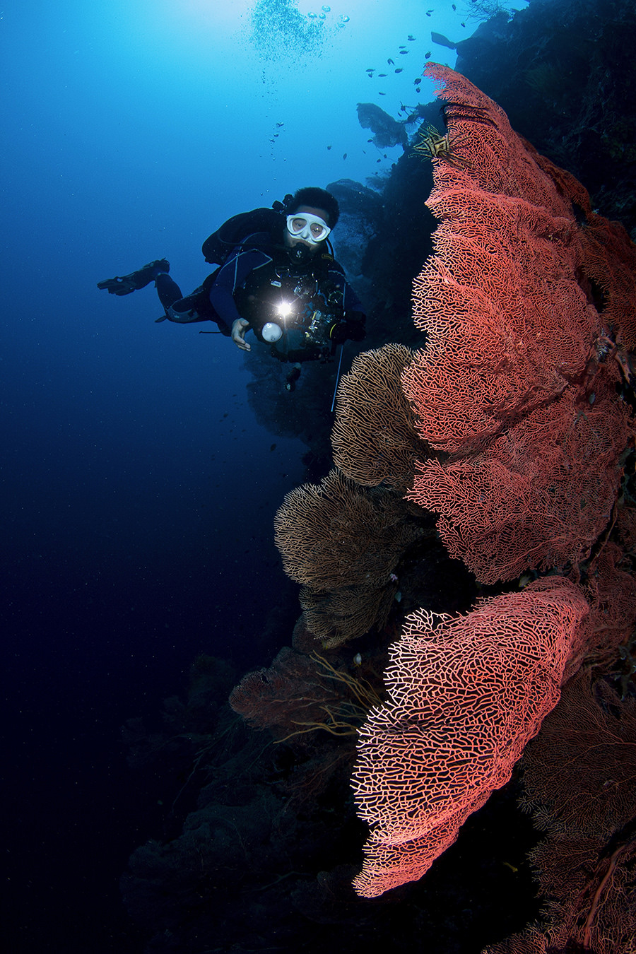 Fotografia Philippines Photographer Spotlight: Bo Mancao, Underwater Photography